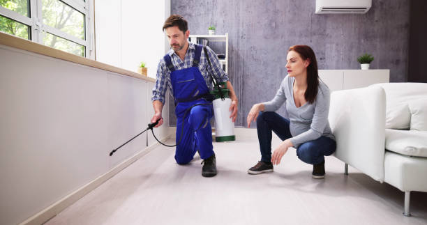 Best Pest Prevention Services  in Standish, MI